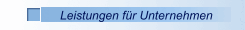 Leistungen für Unternehmen